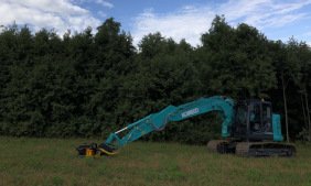 küttepuud-küttepuu-lõuna-eestis