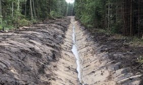küttepuud-küttepuu-lõuna-eestis